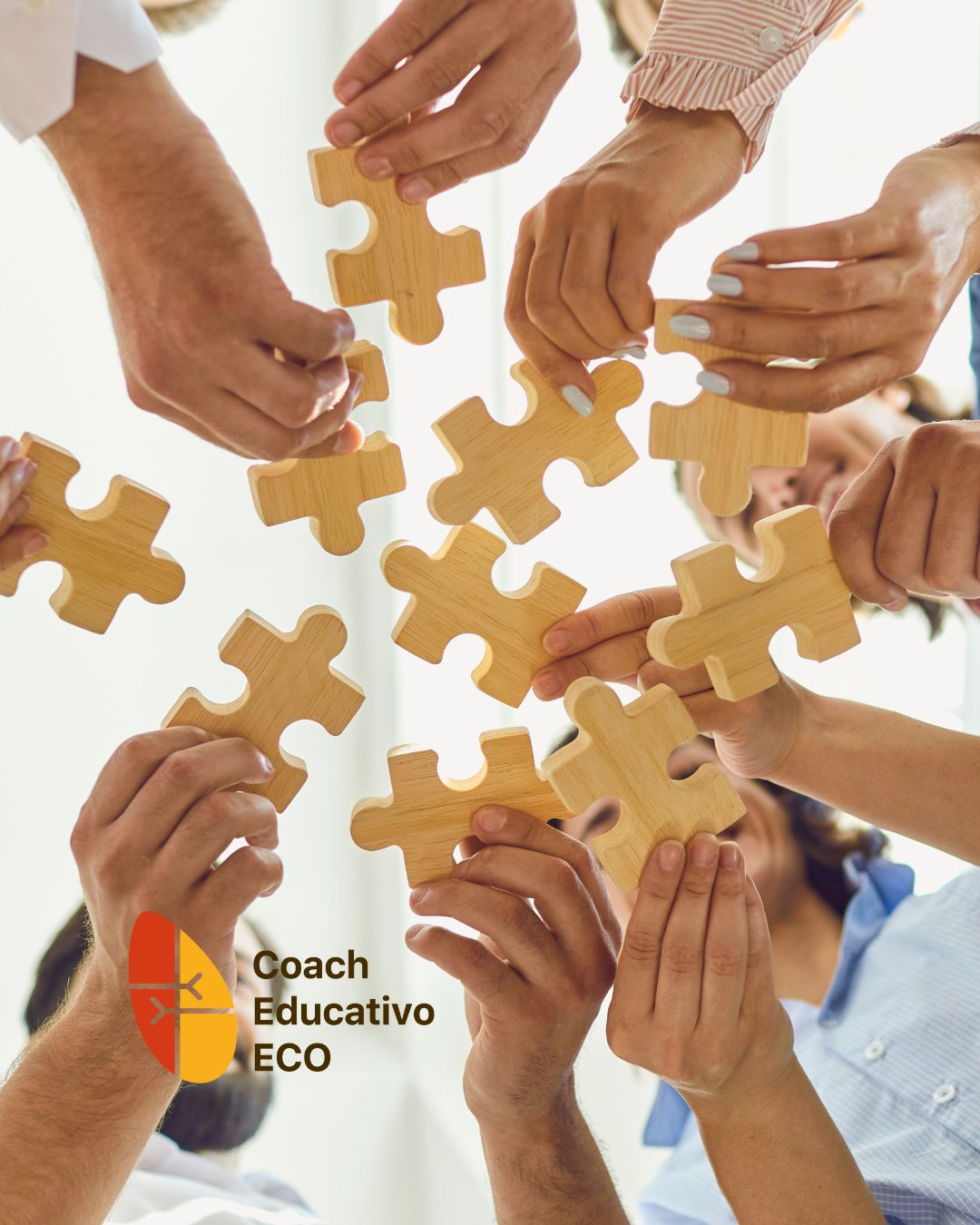 Postítulo Coach Educativo